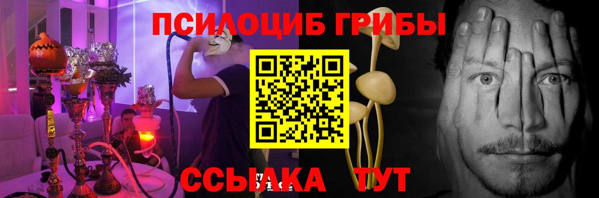Псилоцибиновые грибы GOLDEN TEACHER  Вход с VPN  Псилоцибиновые грибы Magic Shrooms  что такое   Гагарин 